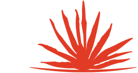agave plant icon